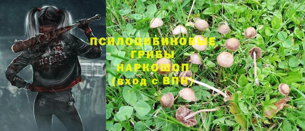 марихуана Пролетарск